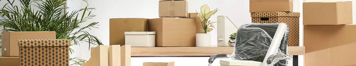 area umzüge gewerblich privat area umzüge gewerblich privat